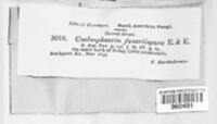 Image Associated With the Occurence